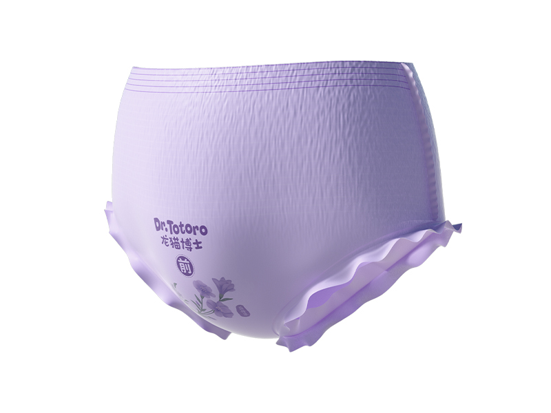 OEM Disposable Period Pants